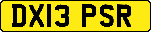 DX13PSR