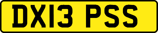 DX13PSS