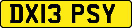DX13PSY