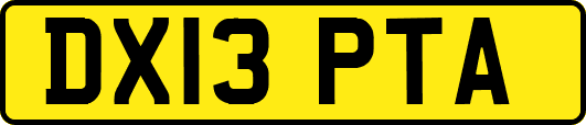 DX13PTA