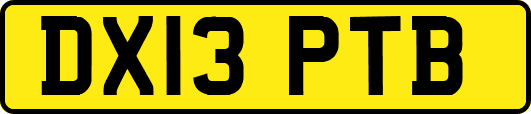 DX13PTB