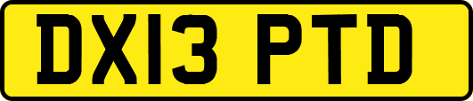 DX13PTD