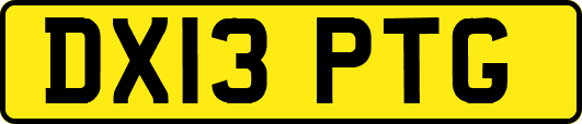 DX13PTG