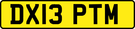 DX13PTM