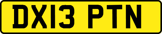 DX13PTN