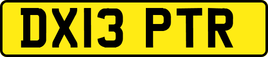 DX13PTR