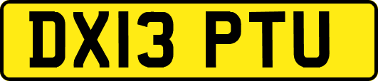 DX13PTU