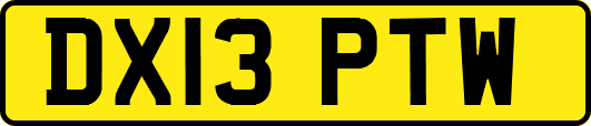 DX13PTW