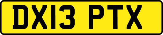 DX13PTX