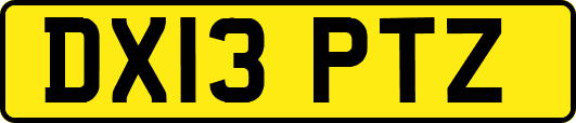 DX13PTZ