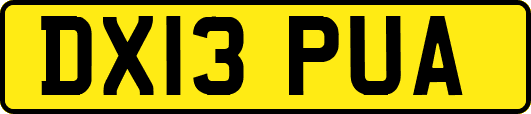 DX13PUA