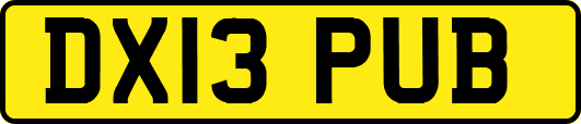 DX13PUB