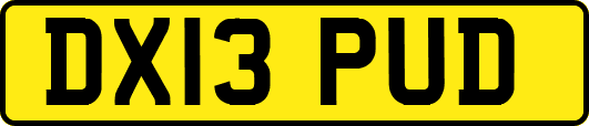 DX13PUD
