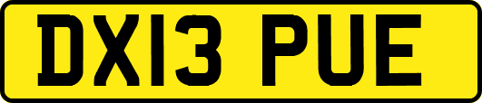 DX13PUE
