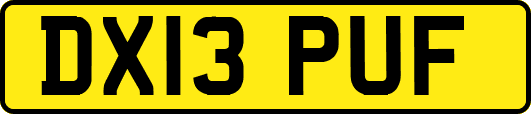 DX13PUF