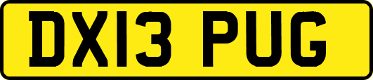 DX13PUG