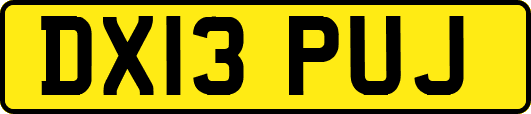 DX13PUJ