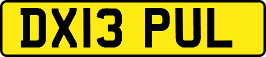 DX13PUL