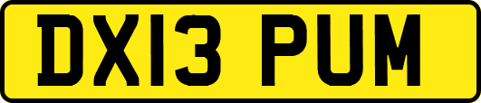 DX13PUM