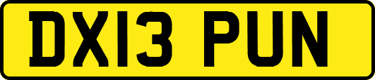 DX13PUN