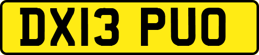 DX13PUO