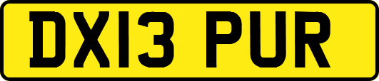 DX13PUR