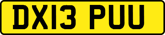 DX13PUU