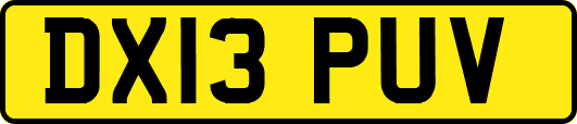 DX13PUV