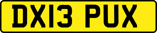 DX13PUX