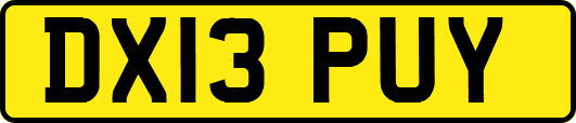 DX13PUY