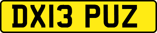 DX13PUZ