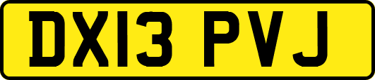 DX13PVJ