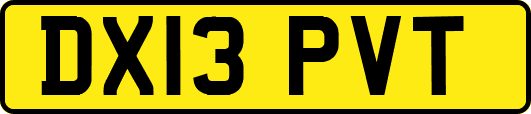 DX13PVT
