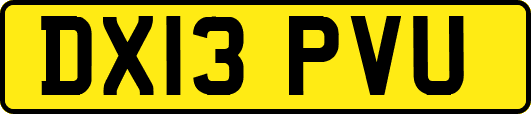 DX13PVU