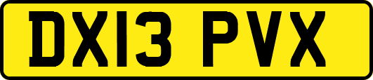 DX13PVX