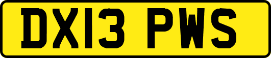 DX13PWS