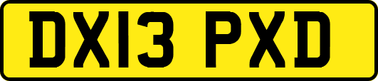 DX13PXD