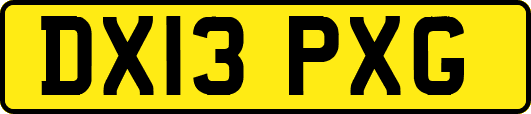 DX13PXG