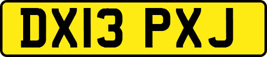 DX13PXJ