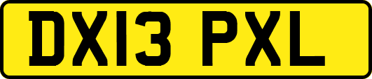 DX13PXL