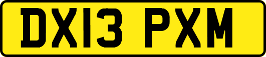 DX13PXM