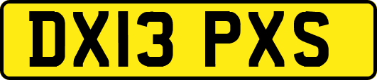 DX13PXS
