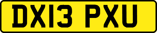 DX13PXU