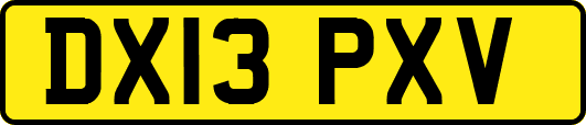 DX13PXV