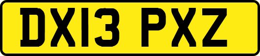 DX13PXZ