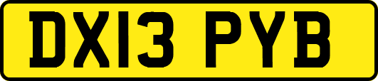 DX13PYB