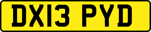 DX13PYD