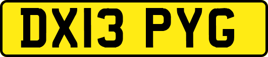 DX13PYG