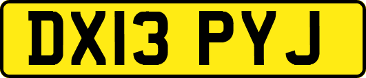 DX13PYJ