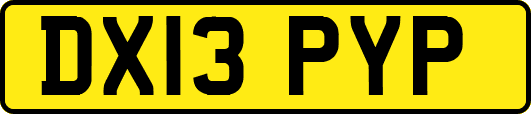 DX13PYP